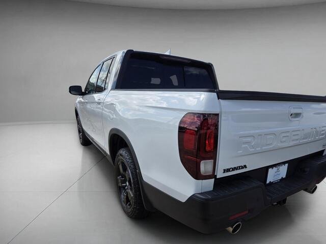 Certified Used 2026 Platinum White Pearl Honda Black Edition image 3