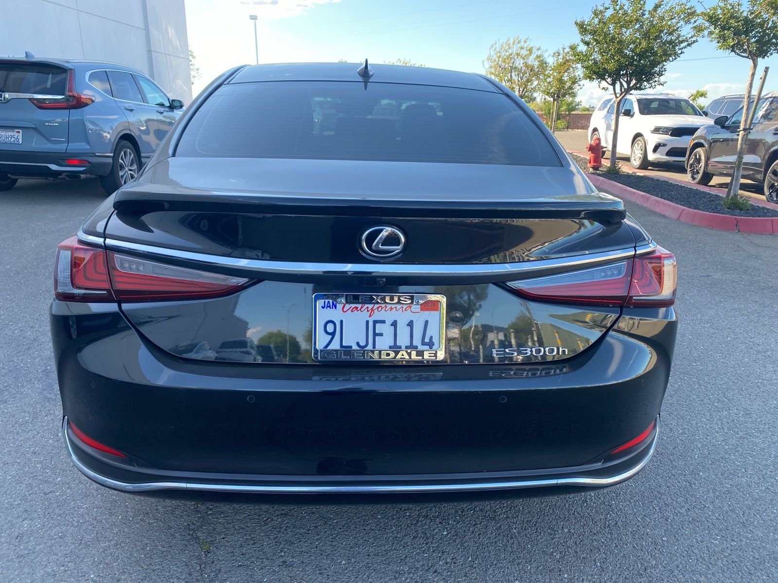 2024 Lexus ES 300h photo 5