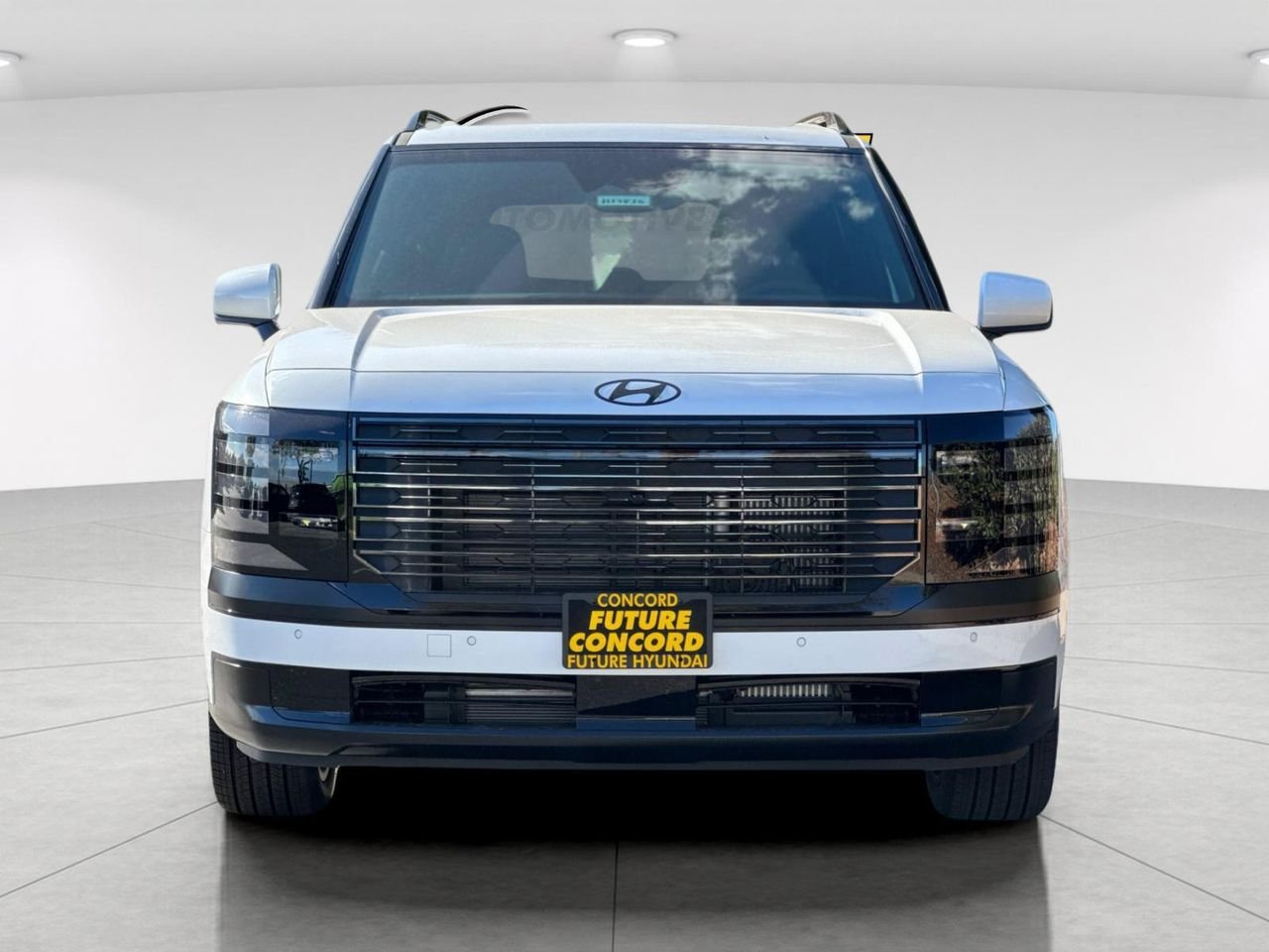 New 2027 White Hyundai Calligraphy Black Ink image 8