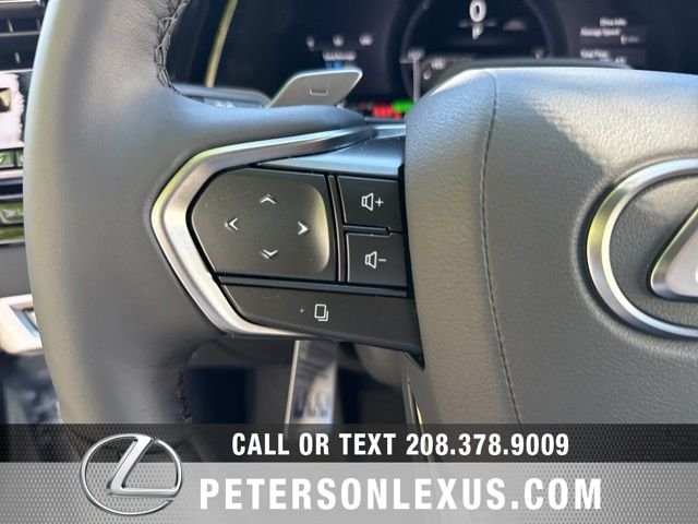 New 2026 Iridium Lexus PREMIUM PLUS image 25