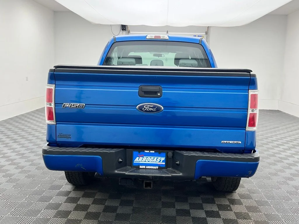 Used 2014 Blue Ford STX image 9