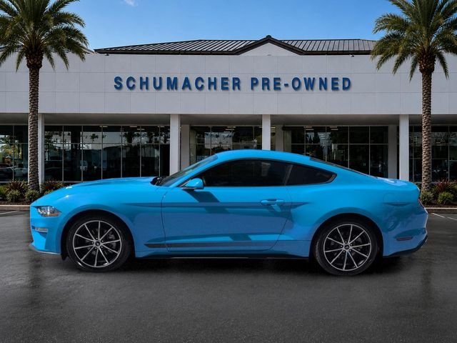 Used 2023 Grabber Blue Metallic Ford EcoBoost image 4