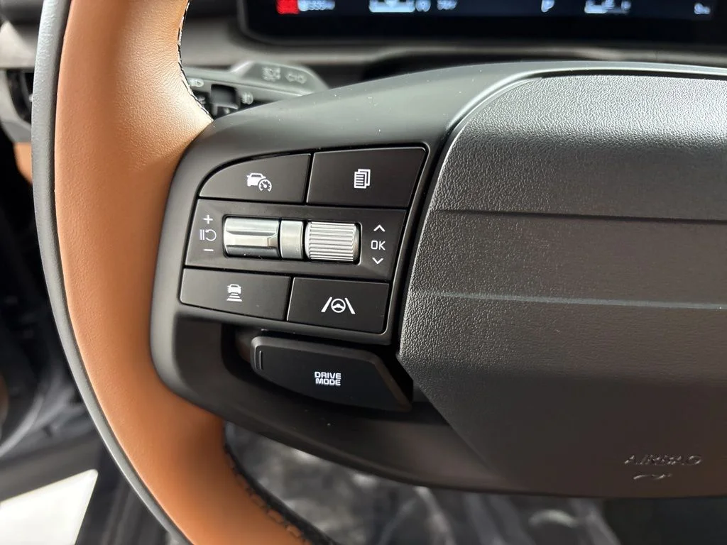 New 2026 Panthera Metal Matte Kia X-Line image 32