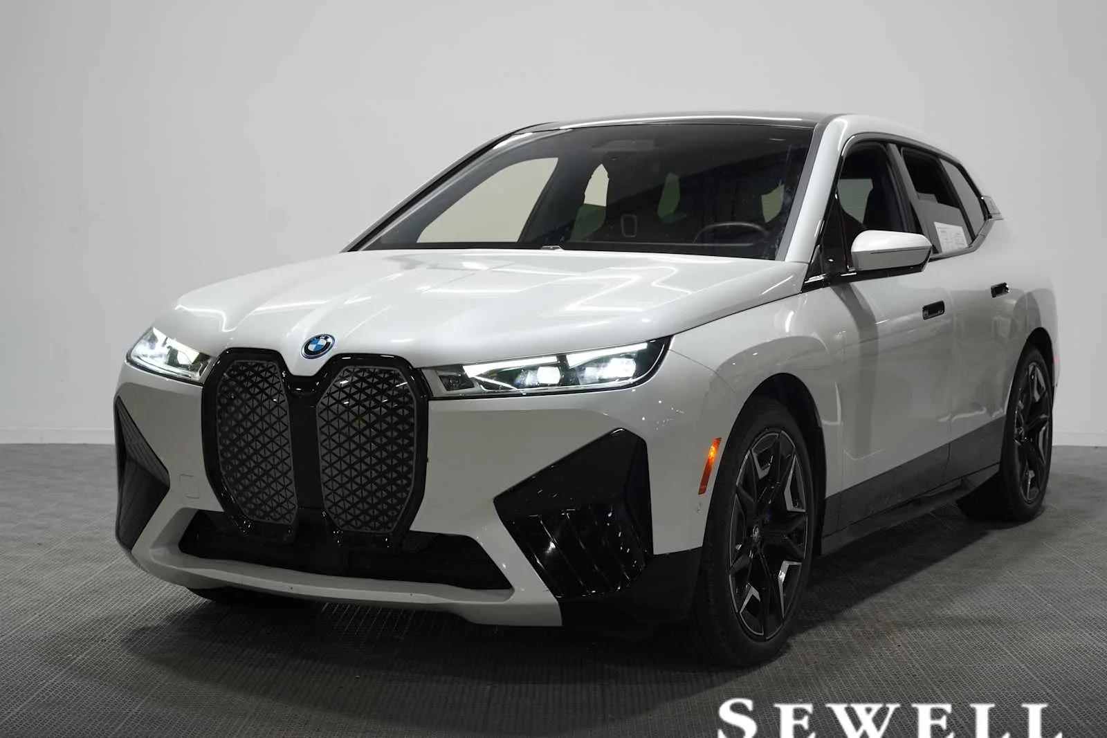 2024 BMW iX