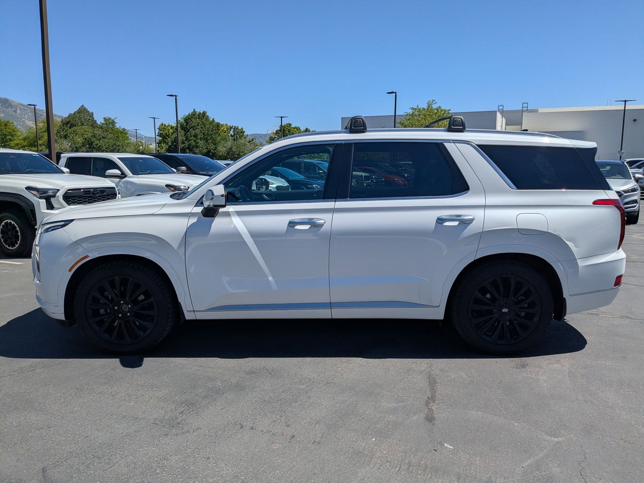 2020 Hyundai Palisade Limited - Photo 8