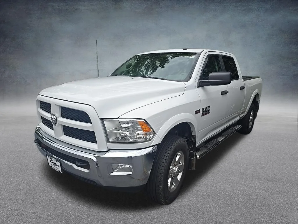 Used 2015 White Ram Outdoorsman image 4