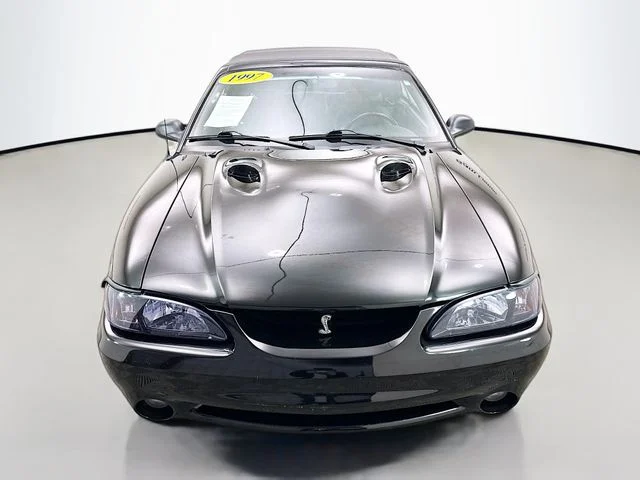 Used 1997 Black Ford Cobra image 2
