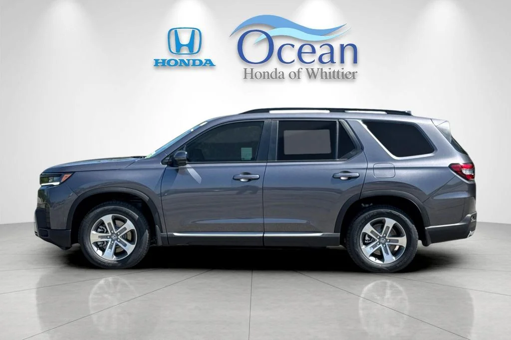 New 2026 Modern Steel Metallic Honda EX-L image 7