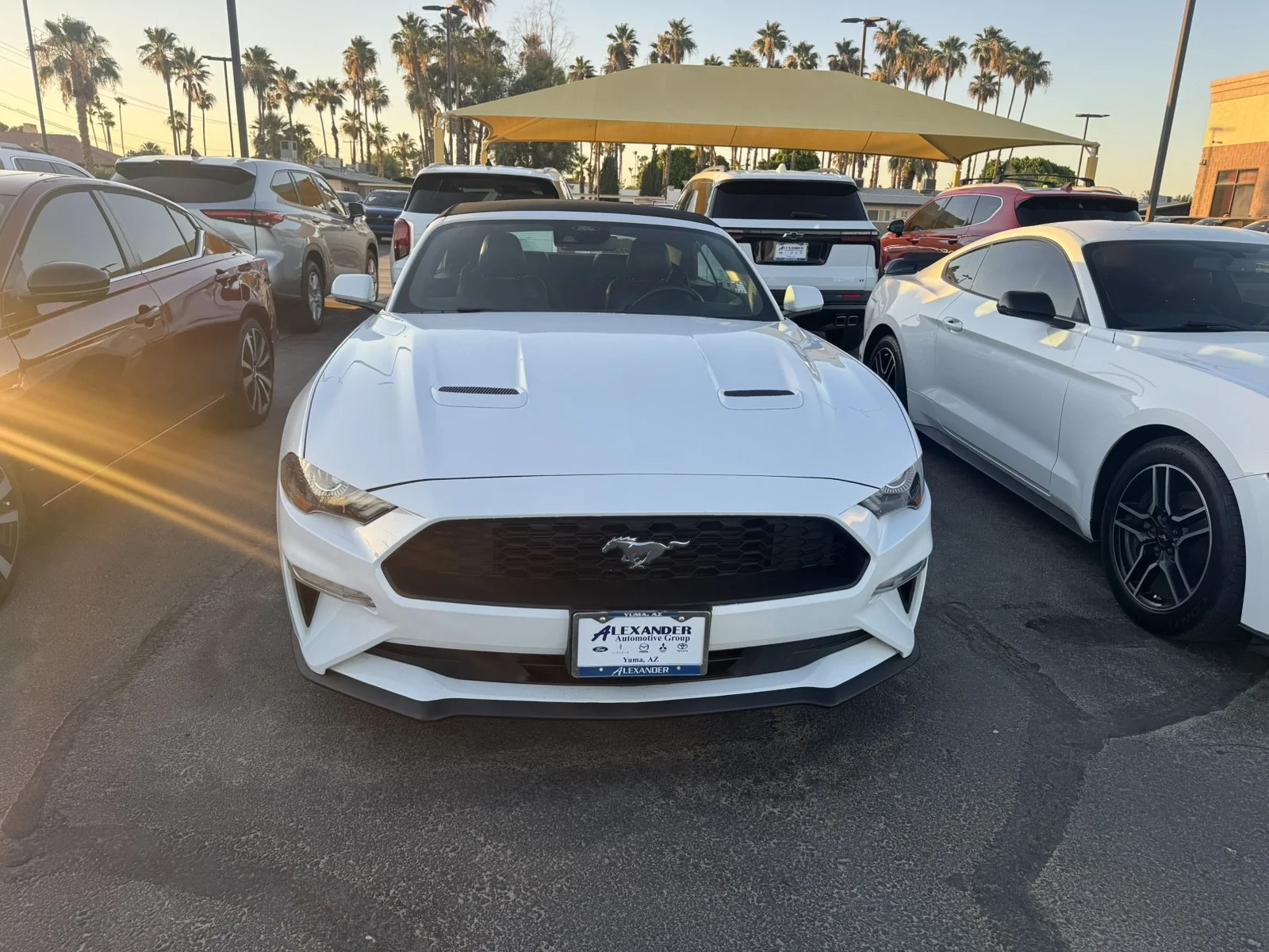 Used 2023  Ford EcoBoost image 2