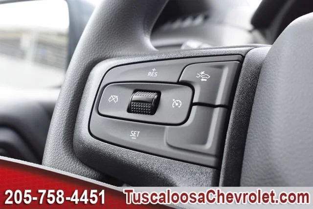 New 2026 Sterling Gray Metallic Chevrolet Custom Trail Boss image 20