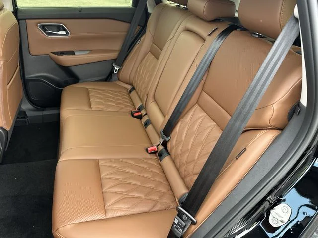 New 2026 Black Nissan Platinum image 27