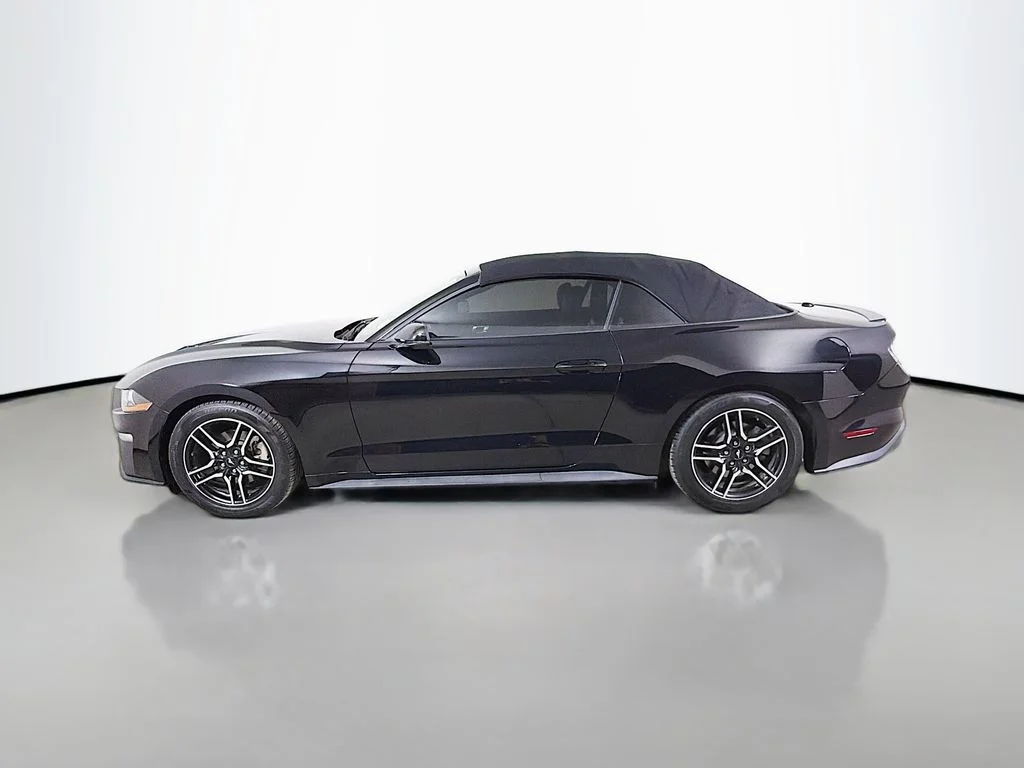 Used 2019 Black Ford EcoBoost Premium image 9