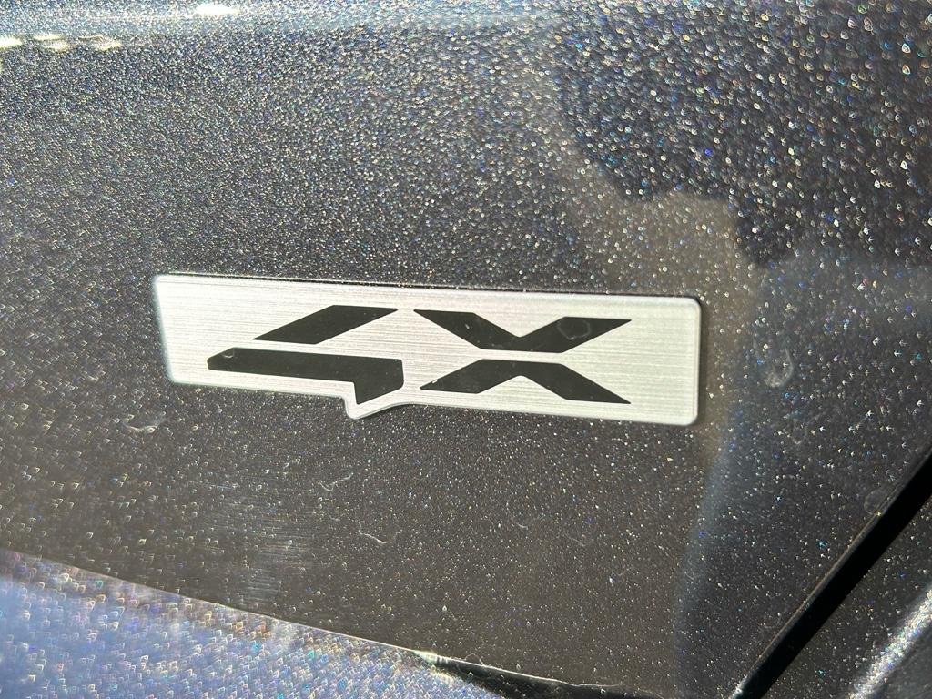 Certified Used 2025 Panthera Metal Kia S image 9