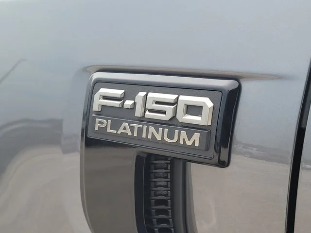 New 2026 Gray Metallic Ford Platinum image 9