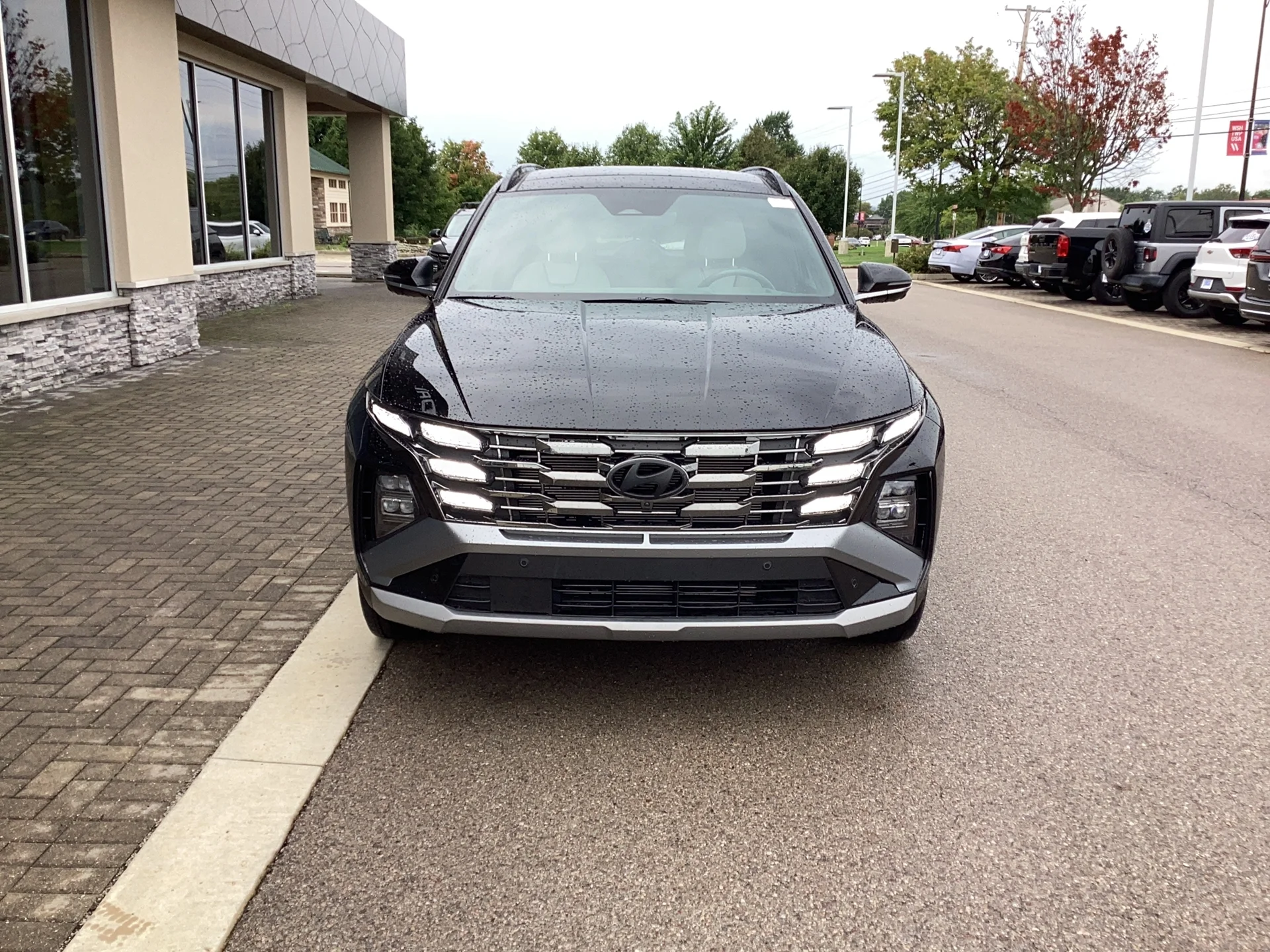Certified Used 2026 Phantom Black Pearl Hyundai Limited image 9