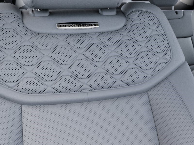 New 2027 Avalanche Gray Ford Platinum image 16