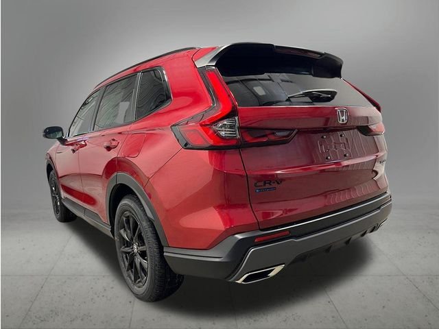 New 2026 Radiant Red Metallic Honda Sport image 3