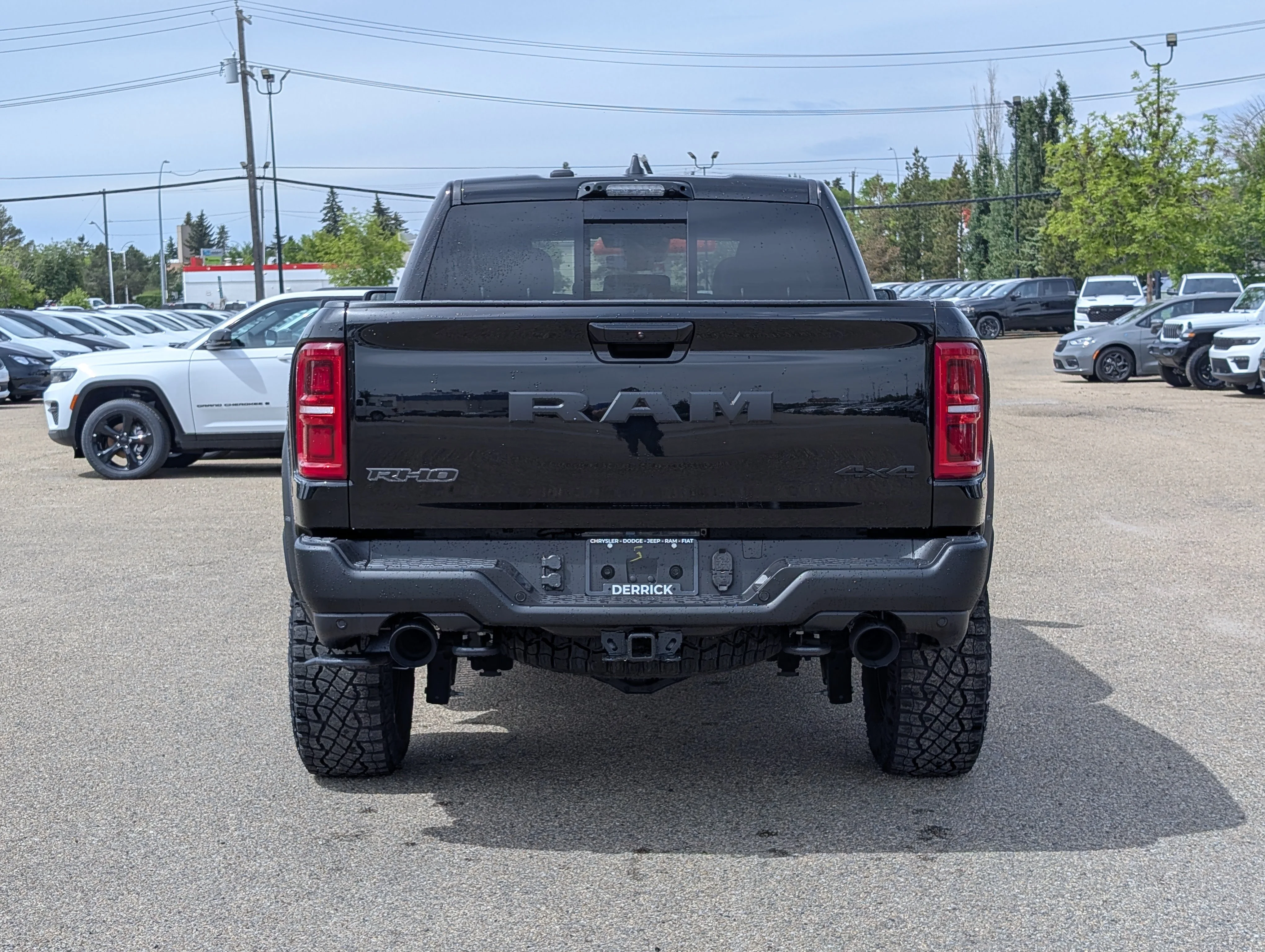 New 2026 Diamond Black Crystal Pearl Ram RHO image 5