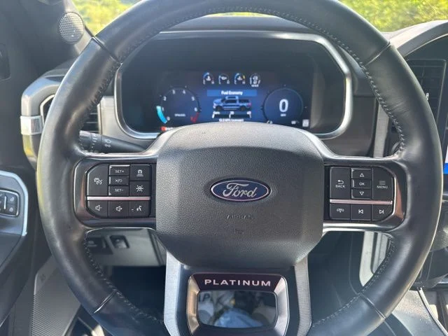 Used 2024 White Ford Platinum image 18