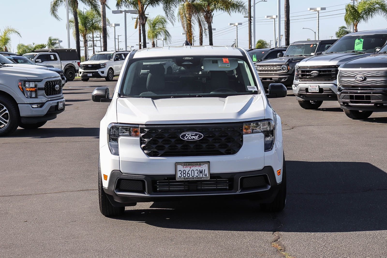 Used 2026 Oxford White Ford XLT image 2