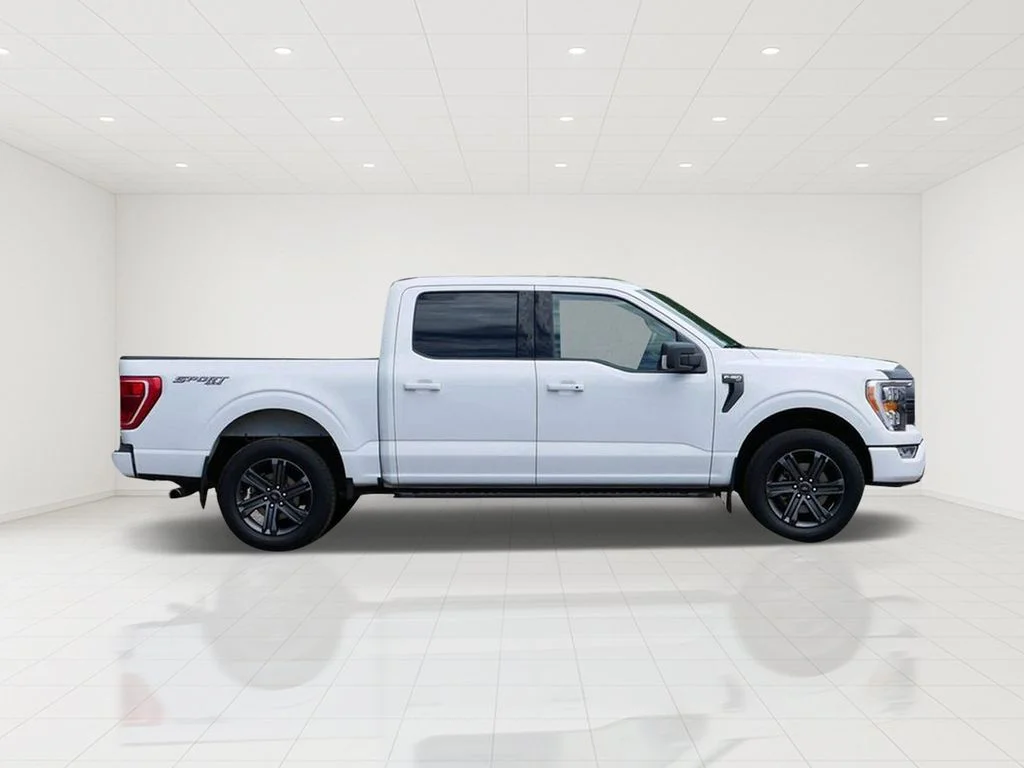 Certified 2023 Ford F-150 XLT with VIN 1FTEW1EP3PFA06642 for sale in White Bear Lake, Minnesota