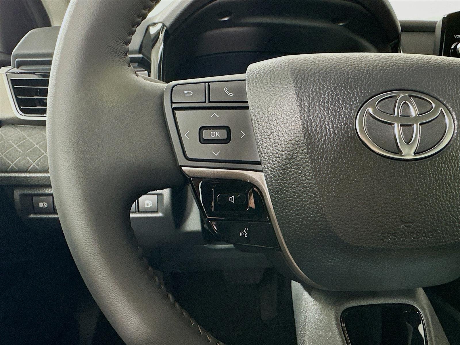 New 2026 Heavy Metal Toyota XLE image 18