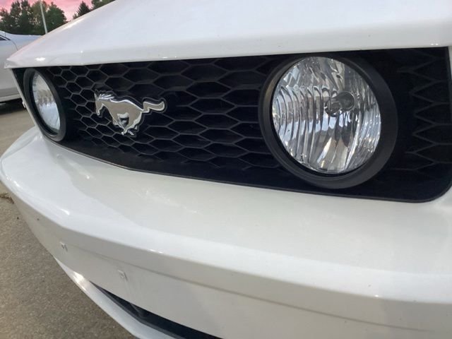 Used 2007  Ford GT Deluxe image 6