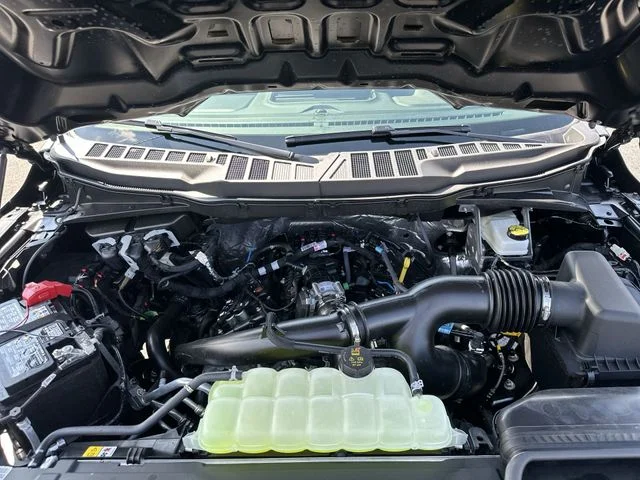 New 2026 Gray Ford STX image 18