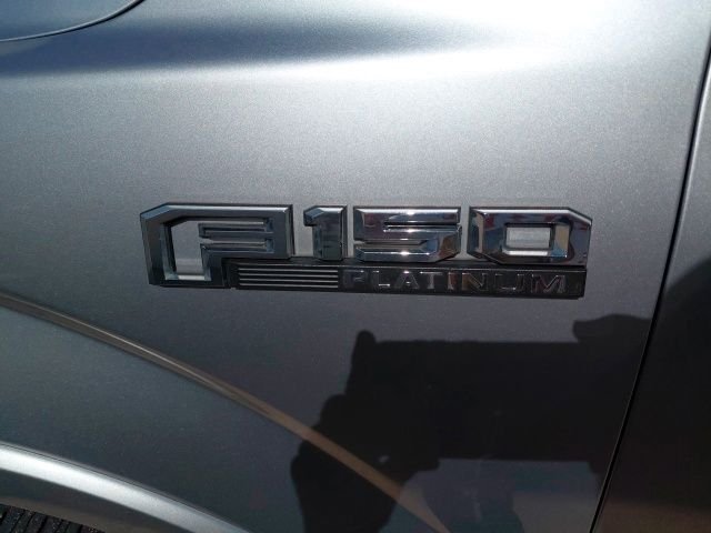 Used 2020 Silver Ford Platinum image 35
