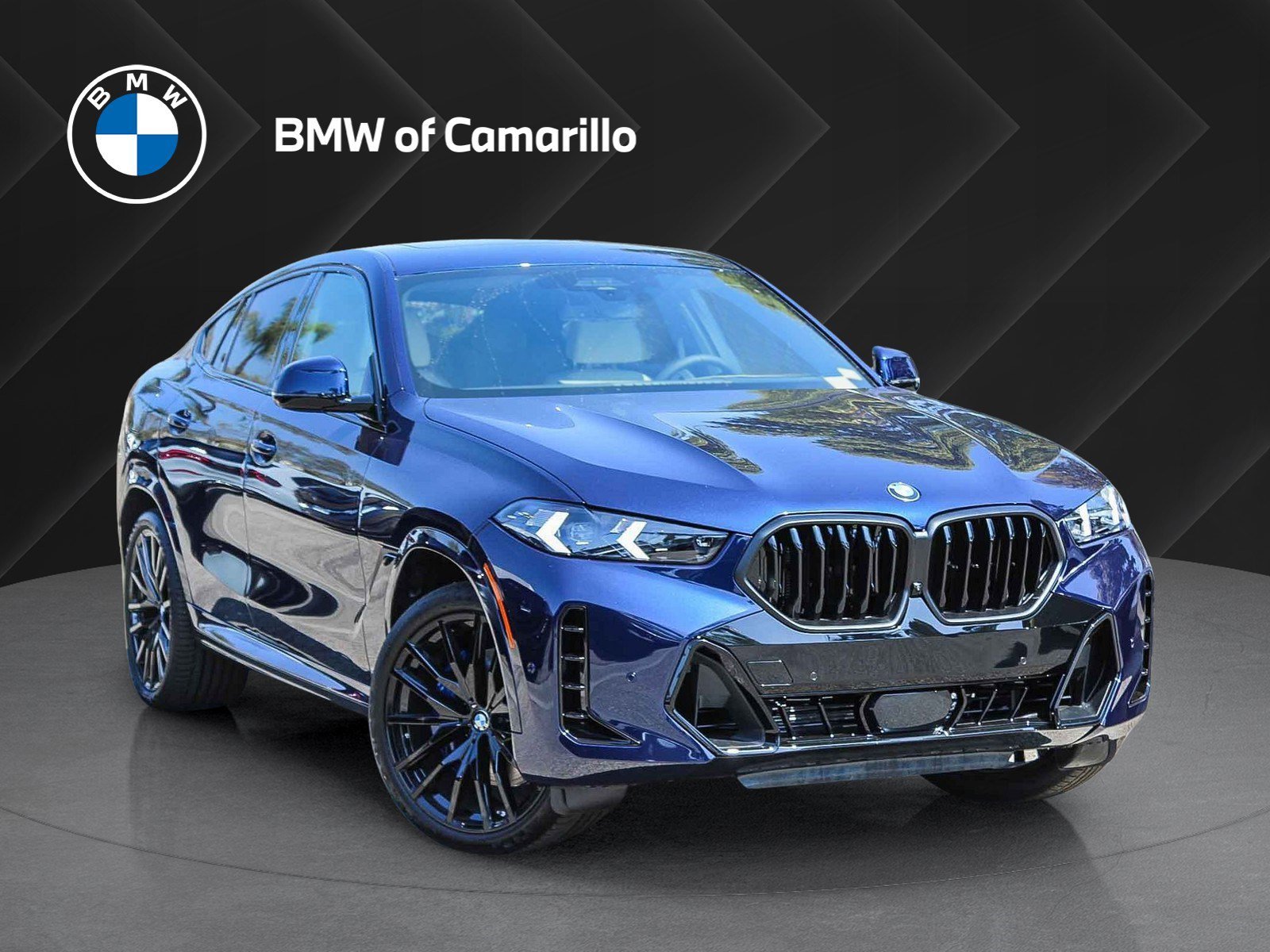 2026 BMW X6 xDrive40i's photo