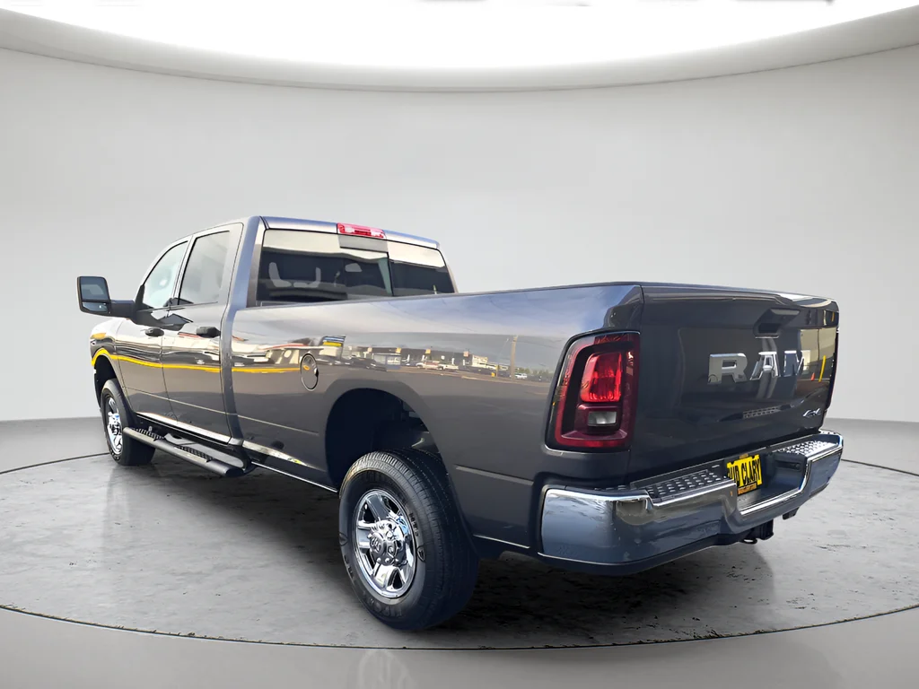 New 2026 Granite Crystal Metallic Clear-Coat Exterior Paint RAM Tradesman image 7