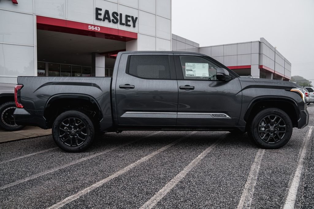 New 2026 Magnetic Gray Metallic Toyota Platinum image 9