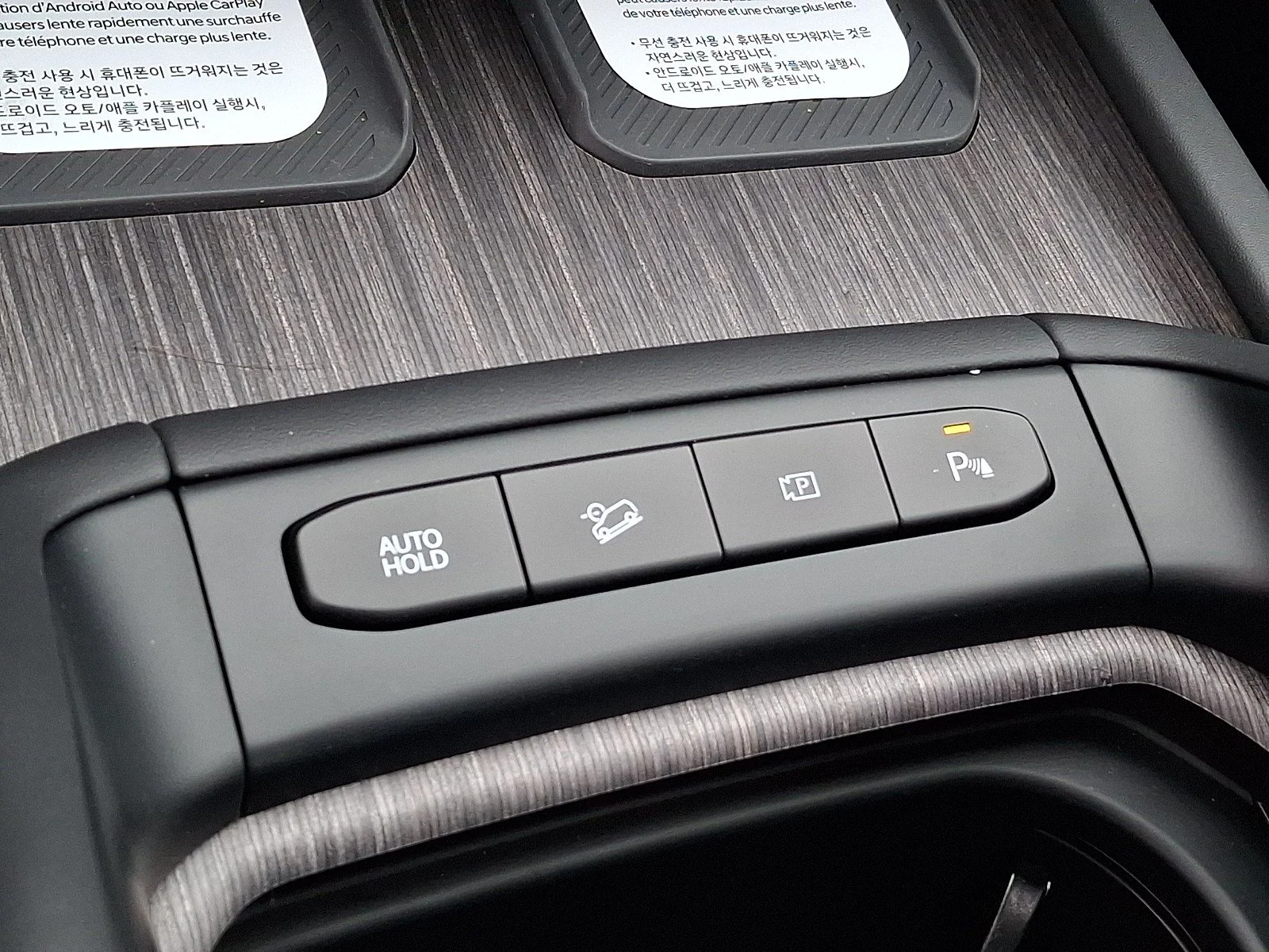 New 2027 Panthera Metal Kia SX-PRESTIGE image 11
