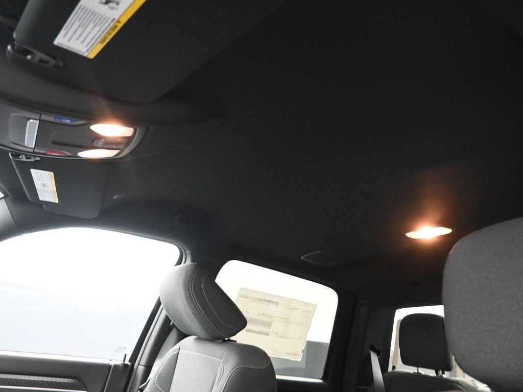 New 2026 Diamond Black Crystal Pearl-Coat Exterior Paint RAM Big Horn image 16