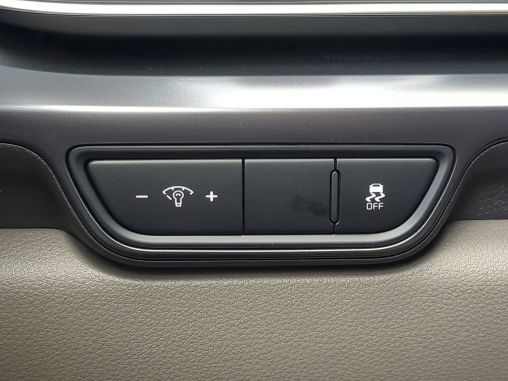 New 2026 Panthera Metal Kia LX image 25