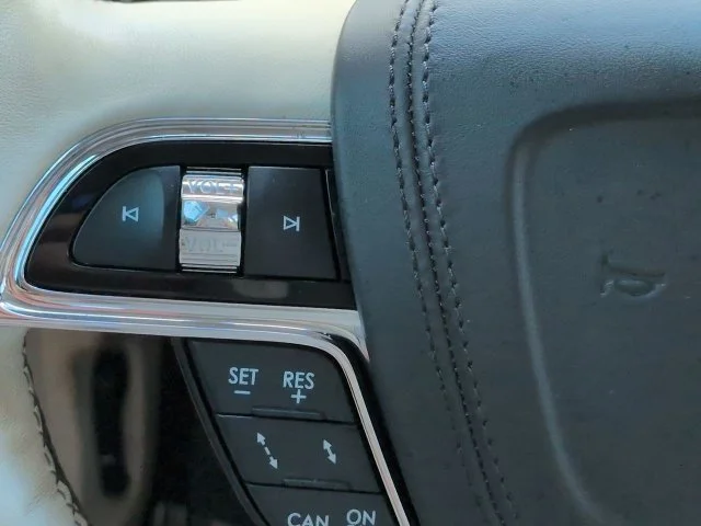 Used 2019 Dark Gray Lincoln Black Label image 25