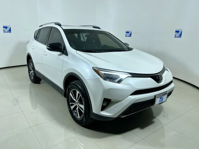 2018 Toyota RAV4 SE's photo