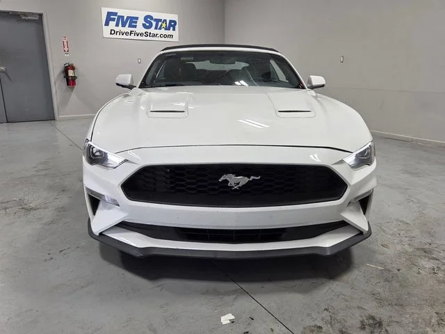 Used 2020 Ford Mustang EcoBoost Premium with VIN 1FATP8UH2L5184619 for sale in Albany, GA