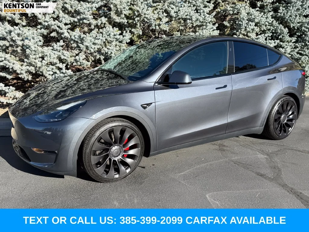 2023 Tesla Model Y