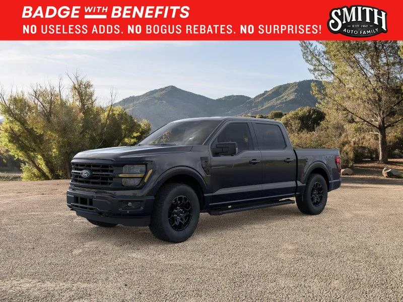 New 2025 Agate Black Metallic Ford XLT image 1