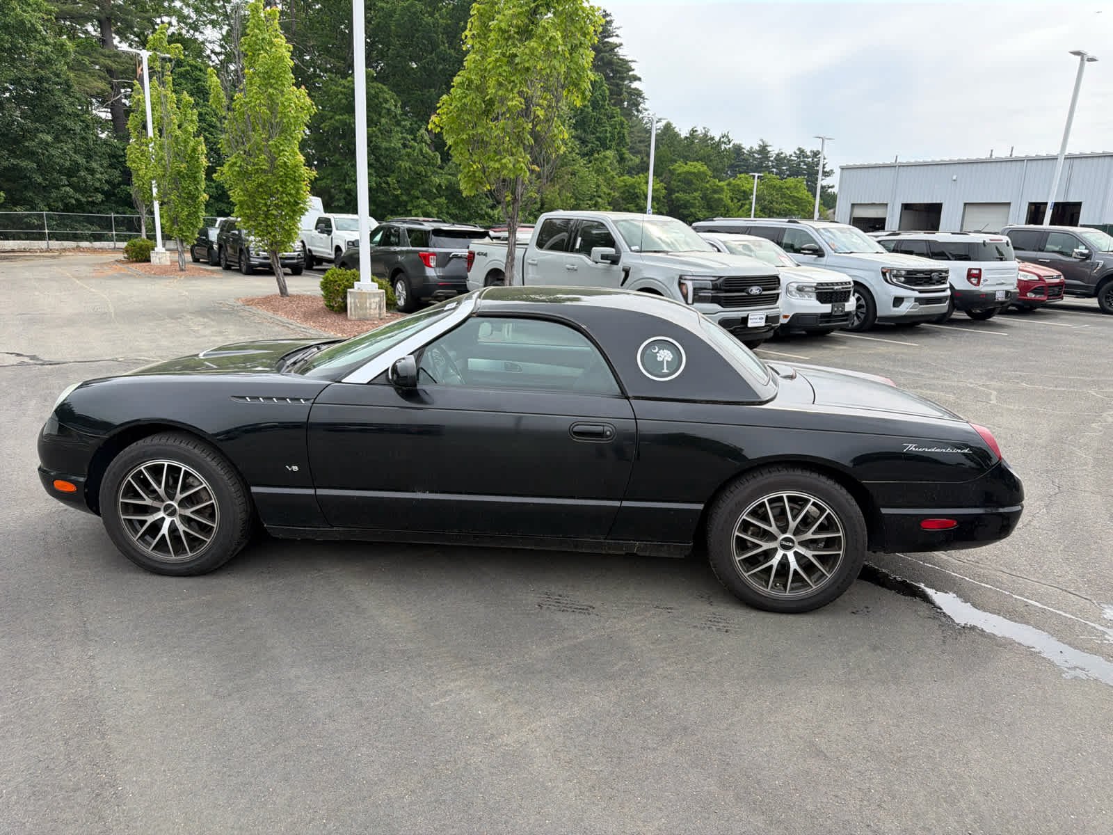 Used 2003 Evening Black Ford Premium image 8