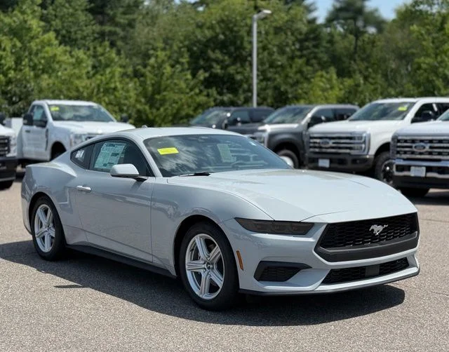 New 2026 Avalanche Gray Ford EcoBoost® Fastback image 1