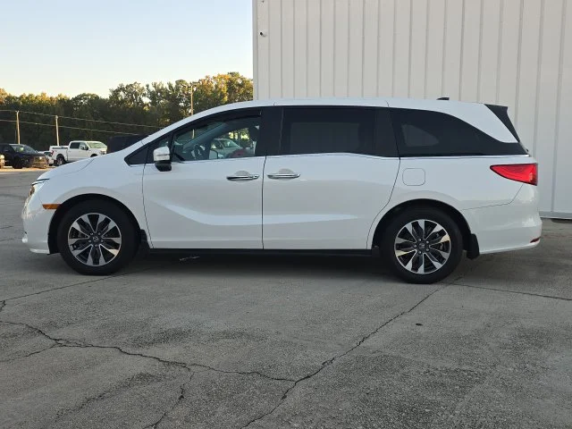 Used 2024  Honda EX-L image 2