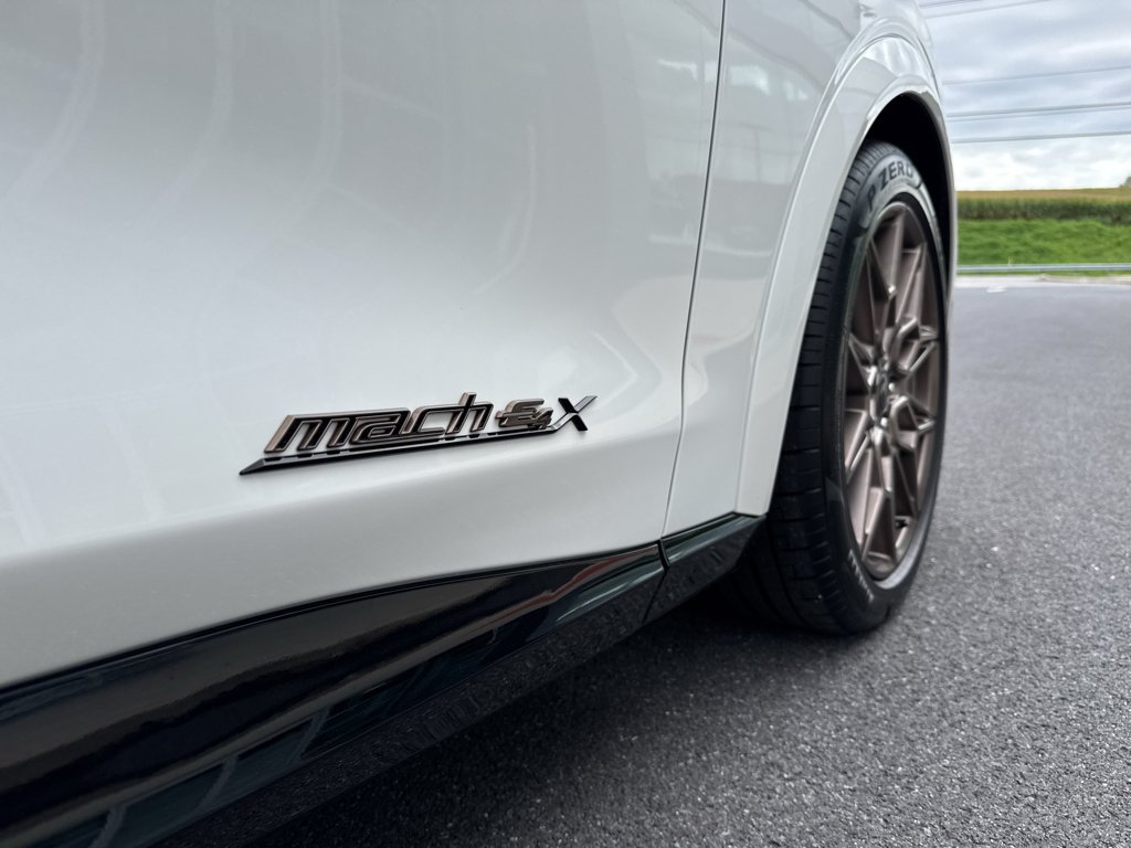 2025 Ford Mustang Mach-E GT - Photo 20