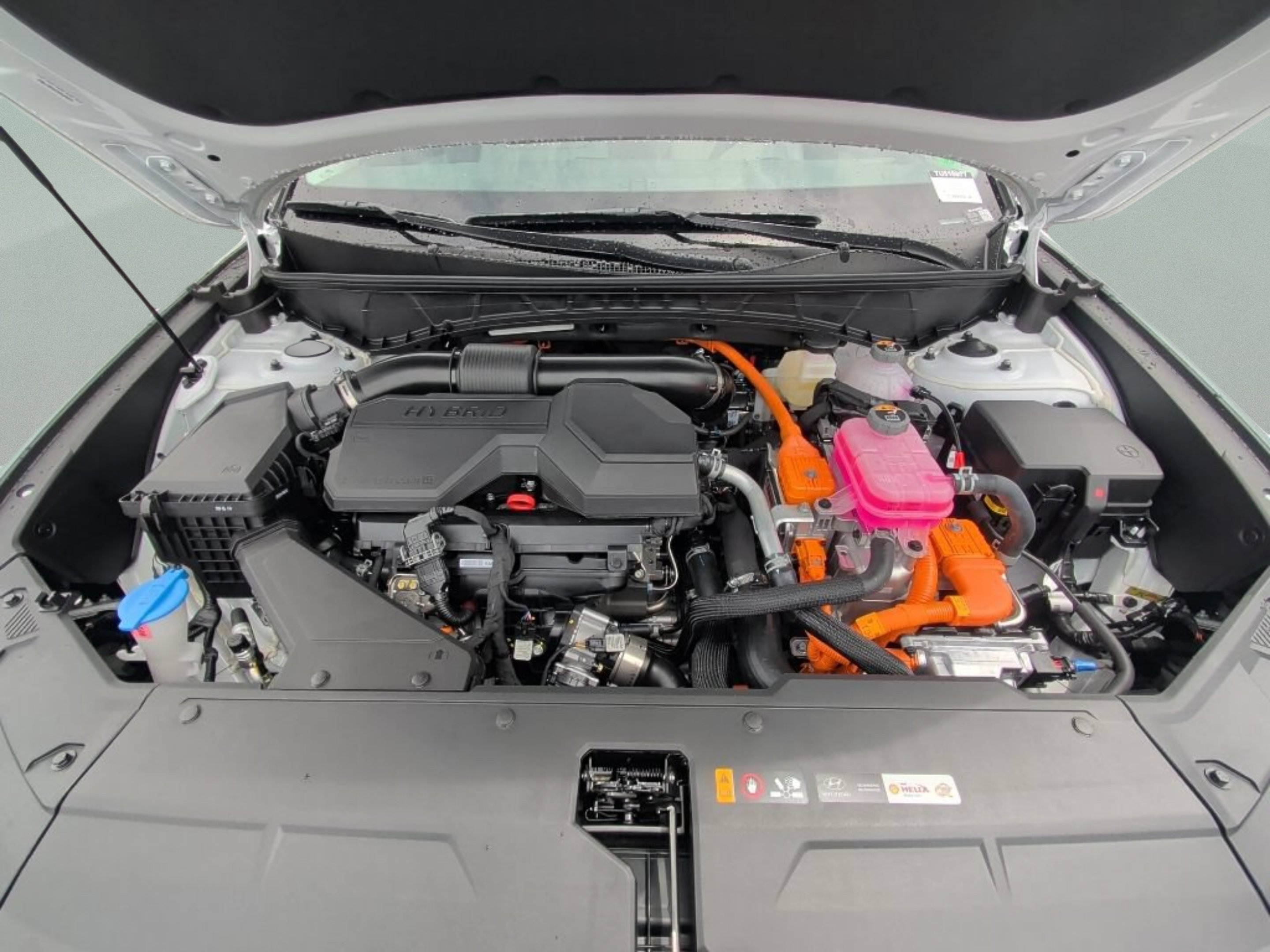 New 2026 Creamy White Pearl Hyundai SEL Convenience image 10