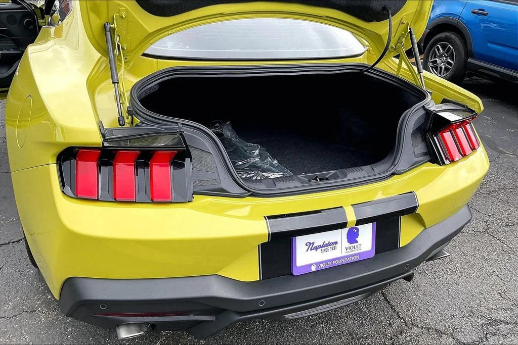 2025 Ford Mustang EcoBoost Premium Fastback - Photo 27