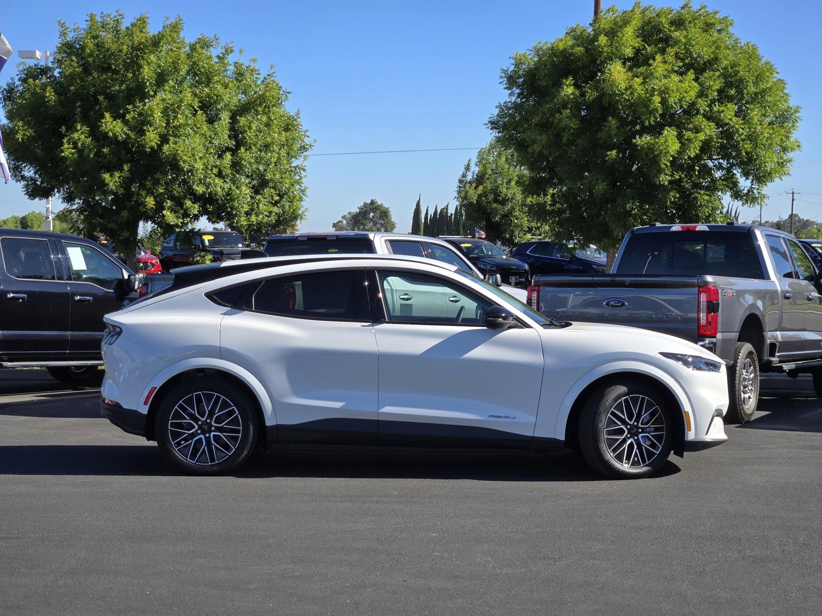 New 2026 Star White Metallic Tri-coat Ford Premium image 3