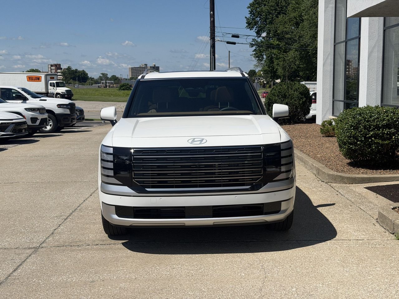 New 2026 Creamy White Pearl Hyundai Calligraphy image 18