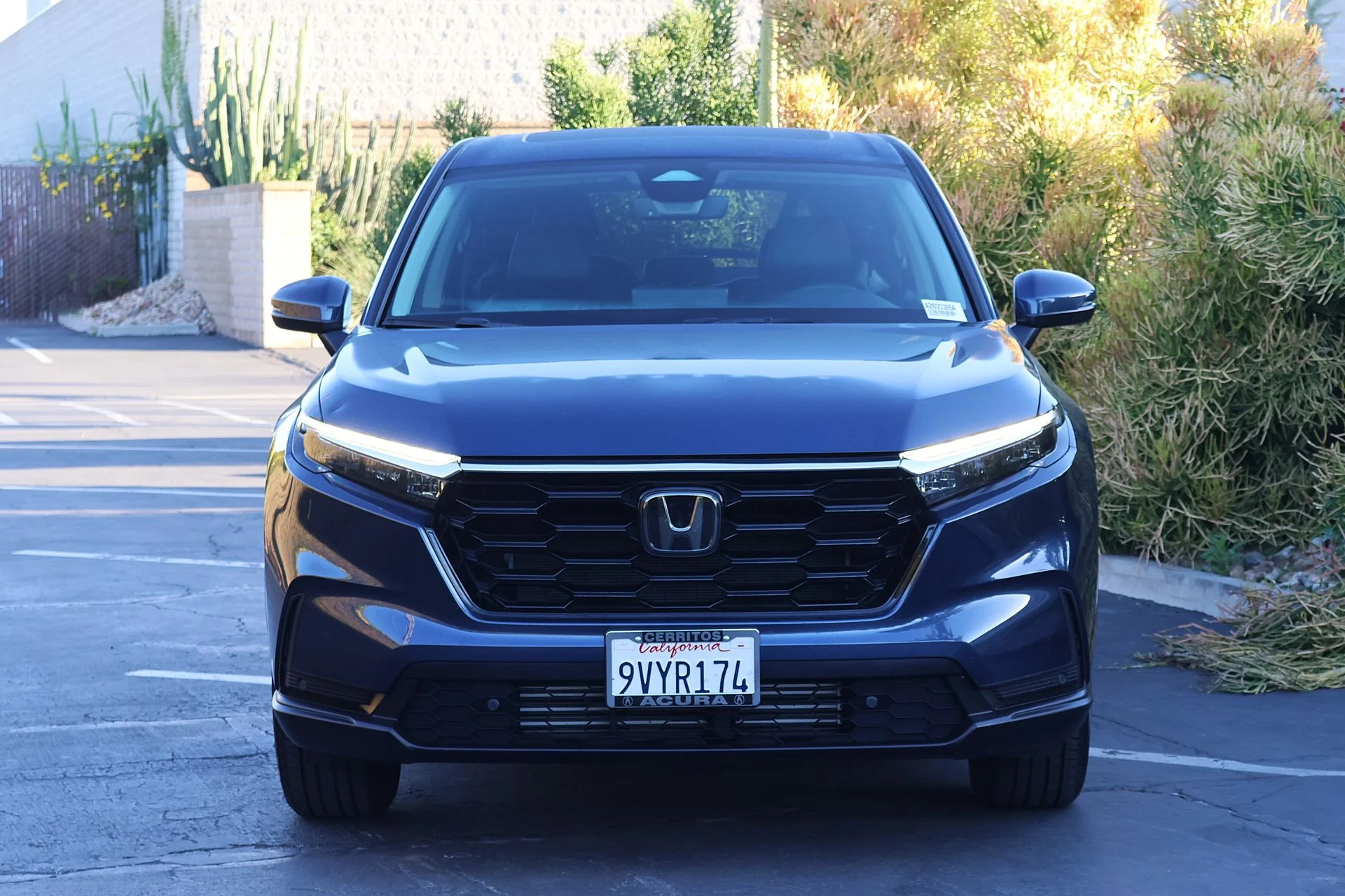 Used 2025  Honda EX-L image 3