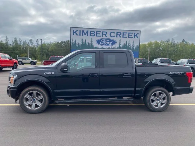 Used 2019 Ford F-150 XLT with VIN 1FTEW1E48KFC56442 for sale in Pine River, Minnesota